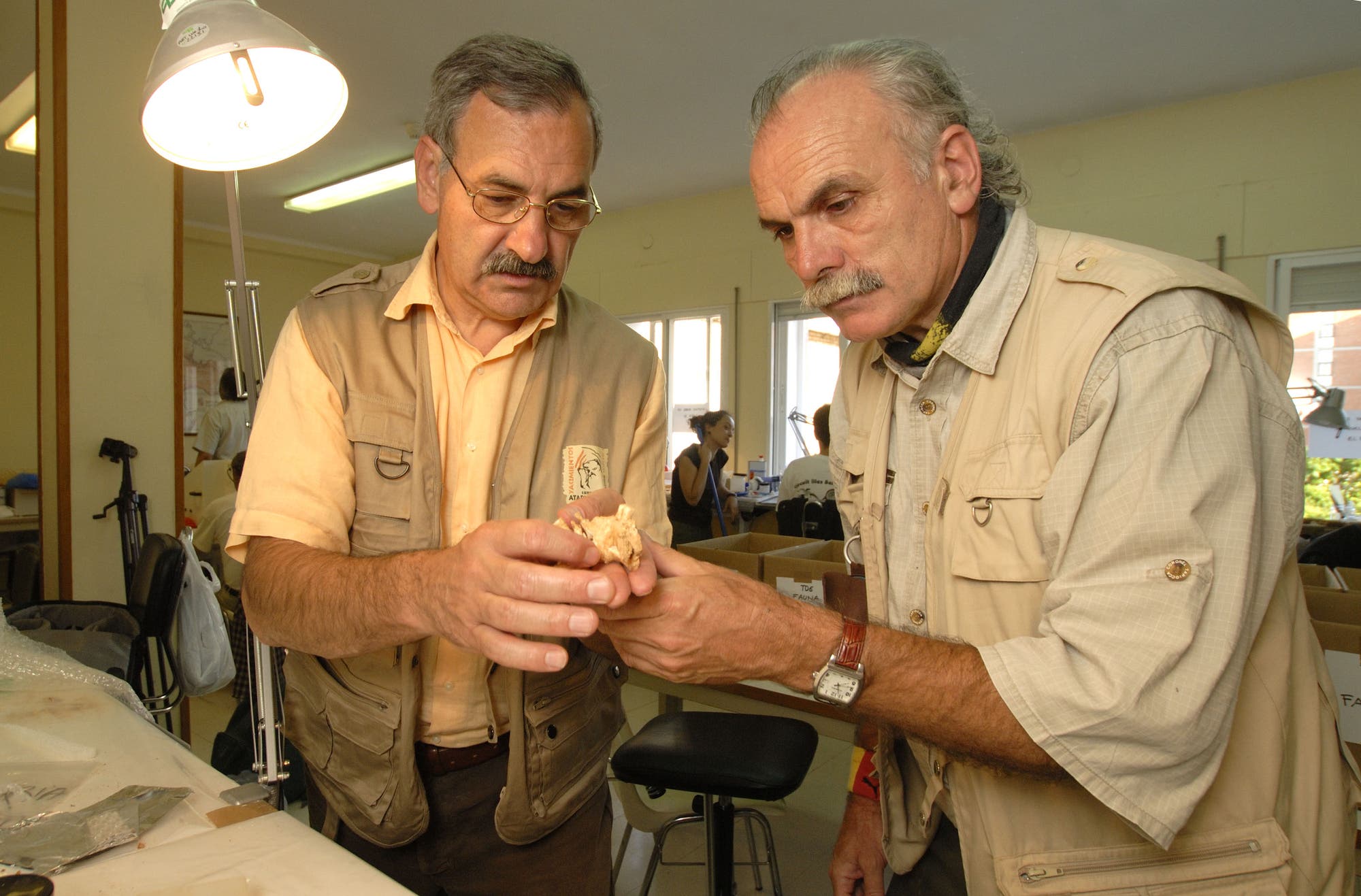 José Bermúdez de Castro und Eudald Carbonell