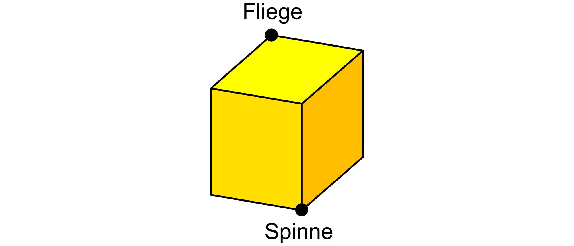 294 294