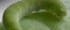 Kohlweißling-Raupe Kohlweißling-Raupe