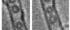 Bild Bild