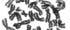 Chromosomen Chromosomen