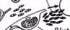 Plasmodium Plasmodium