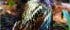 <i>Sturnus vulgaris</i> <i>Sturnus vulgaris</i>