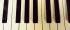 Bild Bild