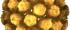 Simian Virus SV40 Simian Virus SV40