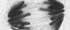 Bild Bild