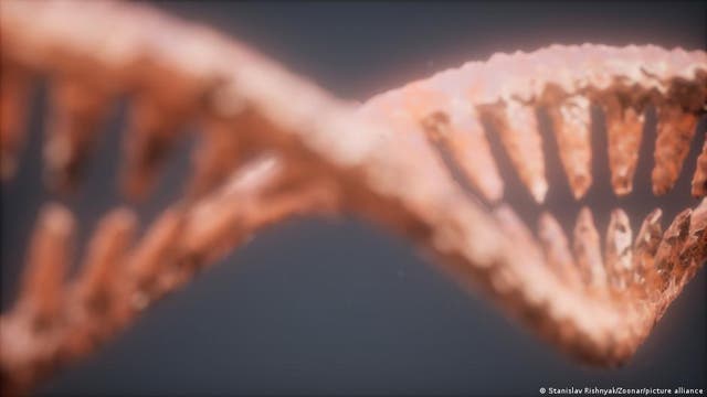 Kann sich unsere DNA verändern?