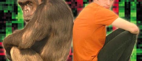 Affe und Mensch Affe und Mensch