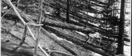 Tunguska Tunguska