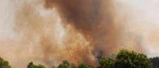 Waldbrand Waldbrand