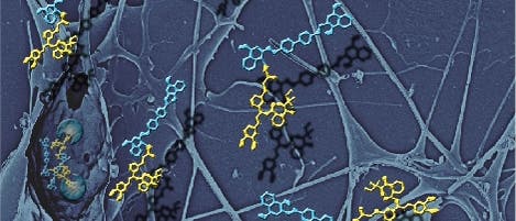 Trojanisches Pferd gegen Alzheimer Trojanisches Pferd gegen Alzheimer
