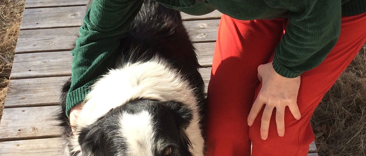 Forscherin Christine Harris mit Border Collie Samwise Forscherin Christine Harris mit Border Collie Samwise