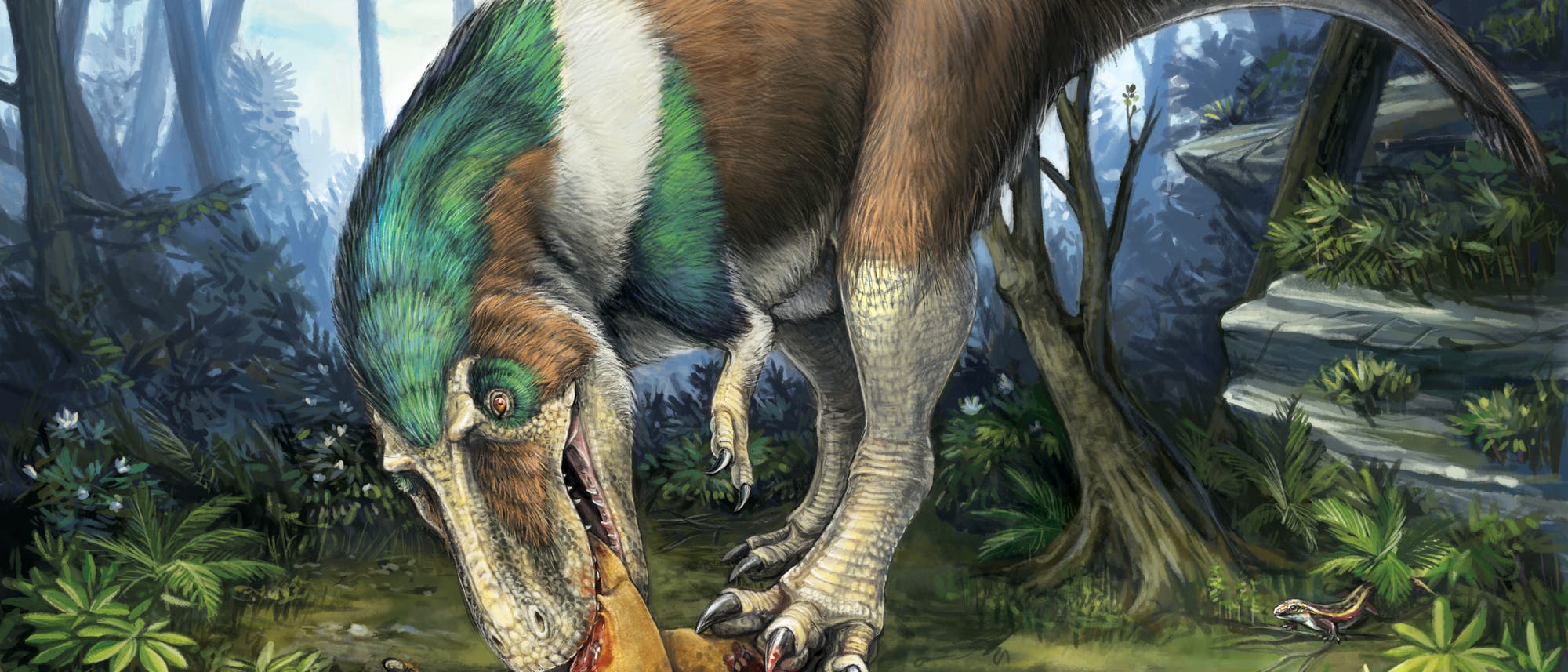 Gorgosaurus delektiert sich an seiner Beute Gorgosaurus delektiert sich an seiner Beute
