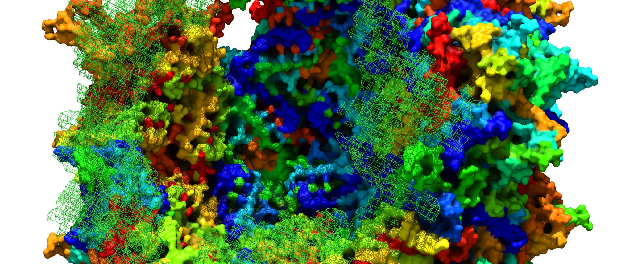 Adeno-assoziiertes Virus (AAV) Adeno-assoziiertes Virus (AAV)