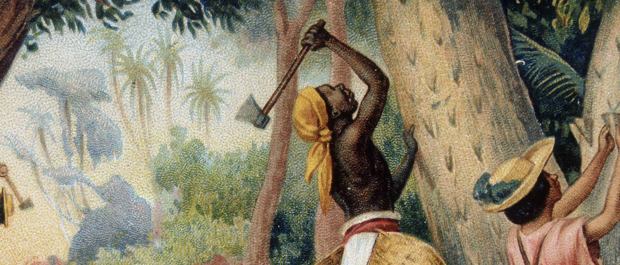 Die Gewinnung von wildem Kautschuk auf einem »Liebigbild« um 1910 Die Gewinnung von wildem Kautschuk auf einem »Liebigbild« um 1910