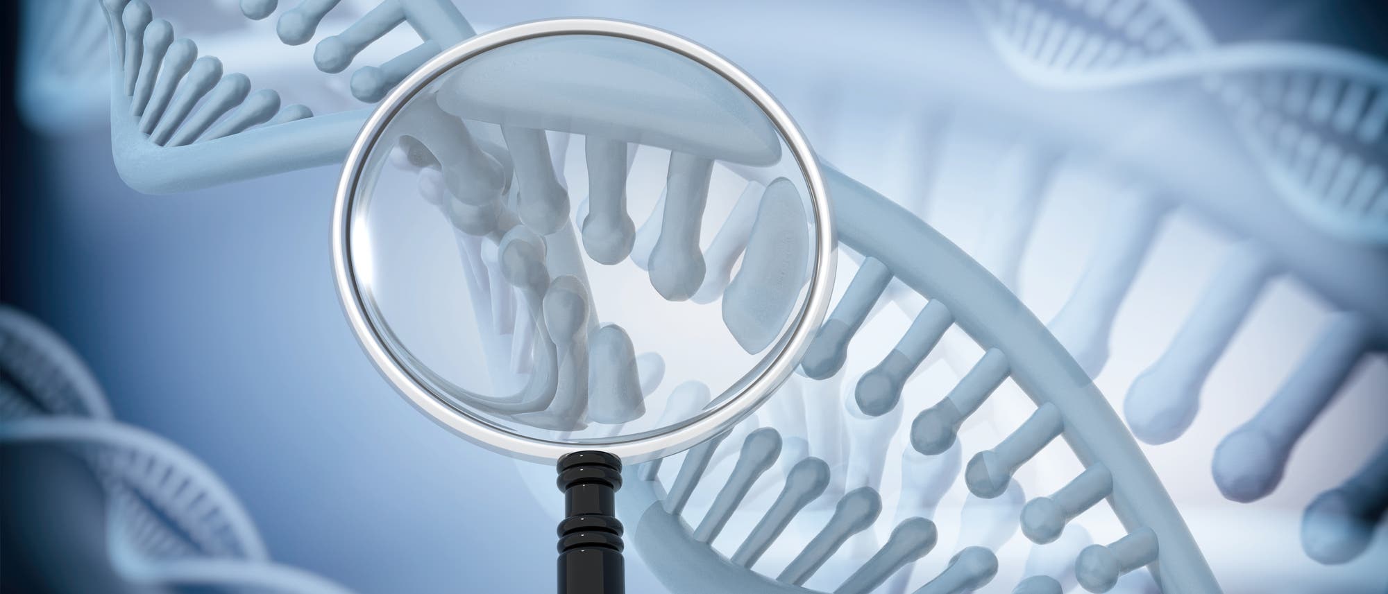 Eine stilisierte DNA-Helix unter einer stilisierten Lupe Eine stilisierte DNA-Helix unter einer stilisierten Lupe