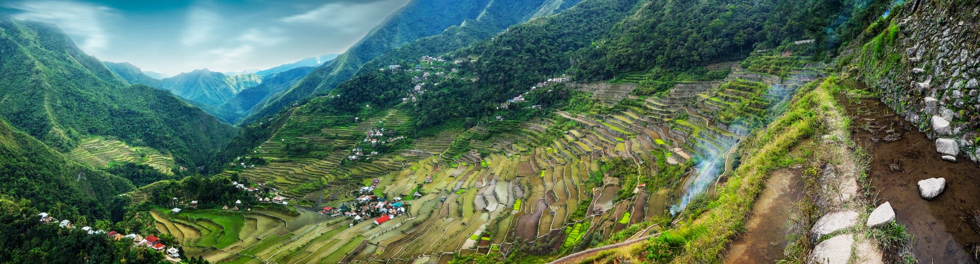 Philippinische Reisfelder