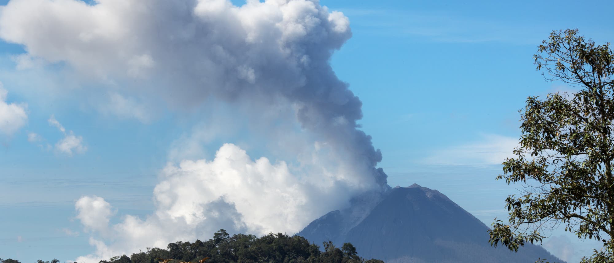 Blick auf den Vulkan Sinabung mit Aschewölkchen über dem Gipfel. Blick auf den Vulkan Sinabung mit Aschewölkchen über dem Gipfel.
