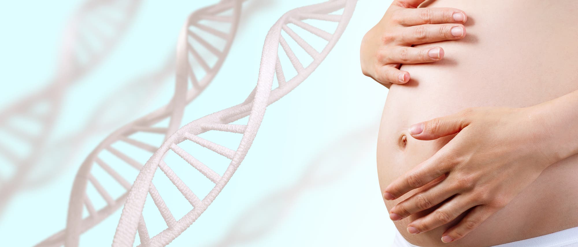 Der Bauch einer Schwangeren neben einigen stilisierten Doppelhelices. Der Bauch einer Schwangeren neben einigen stilisierten Doppelhelices.