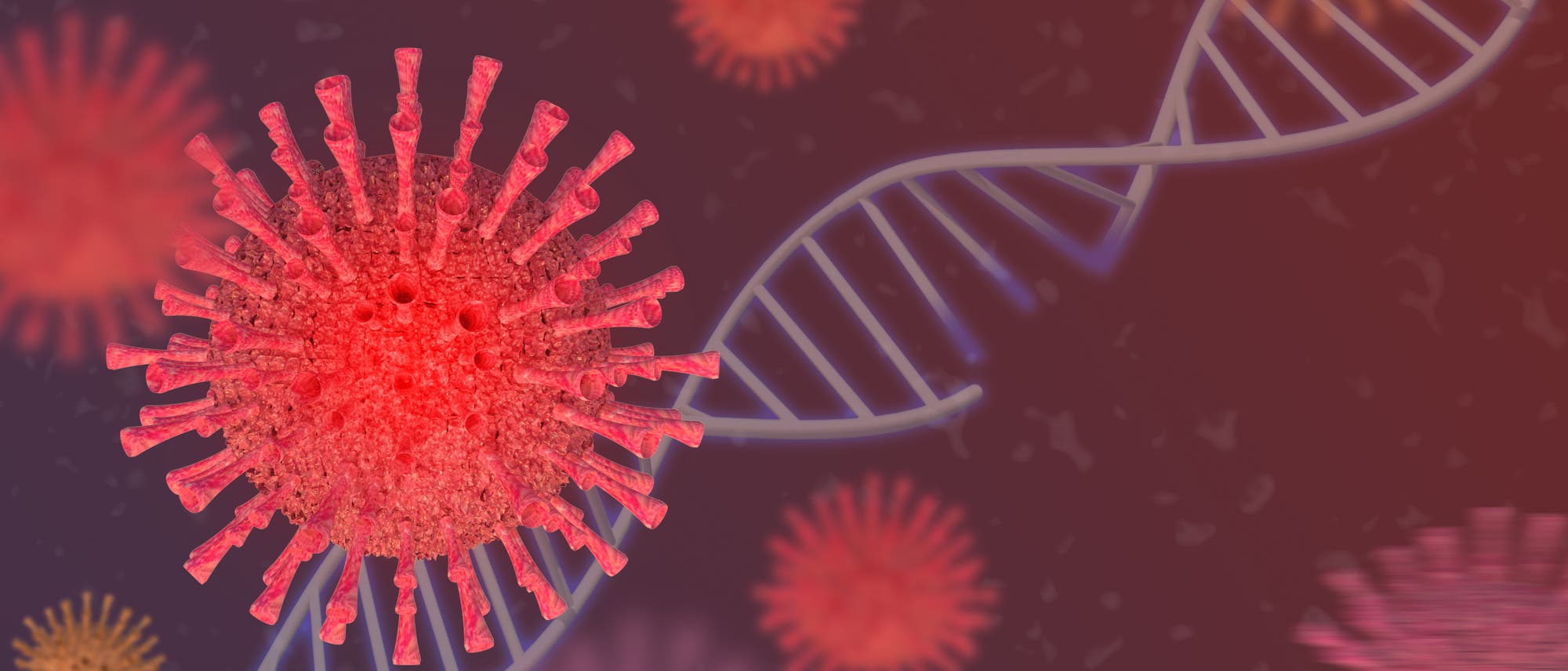 Die Computeranimation zeigt einen Erreger, der dem Coronavirus ähnelt. Die Computeranimation zeigt einen Erreger, der dem Coronavirus ähnelt.