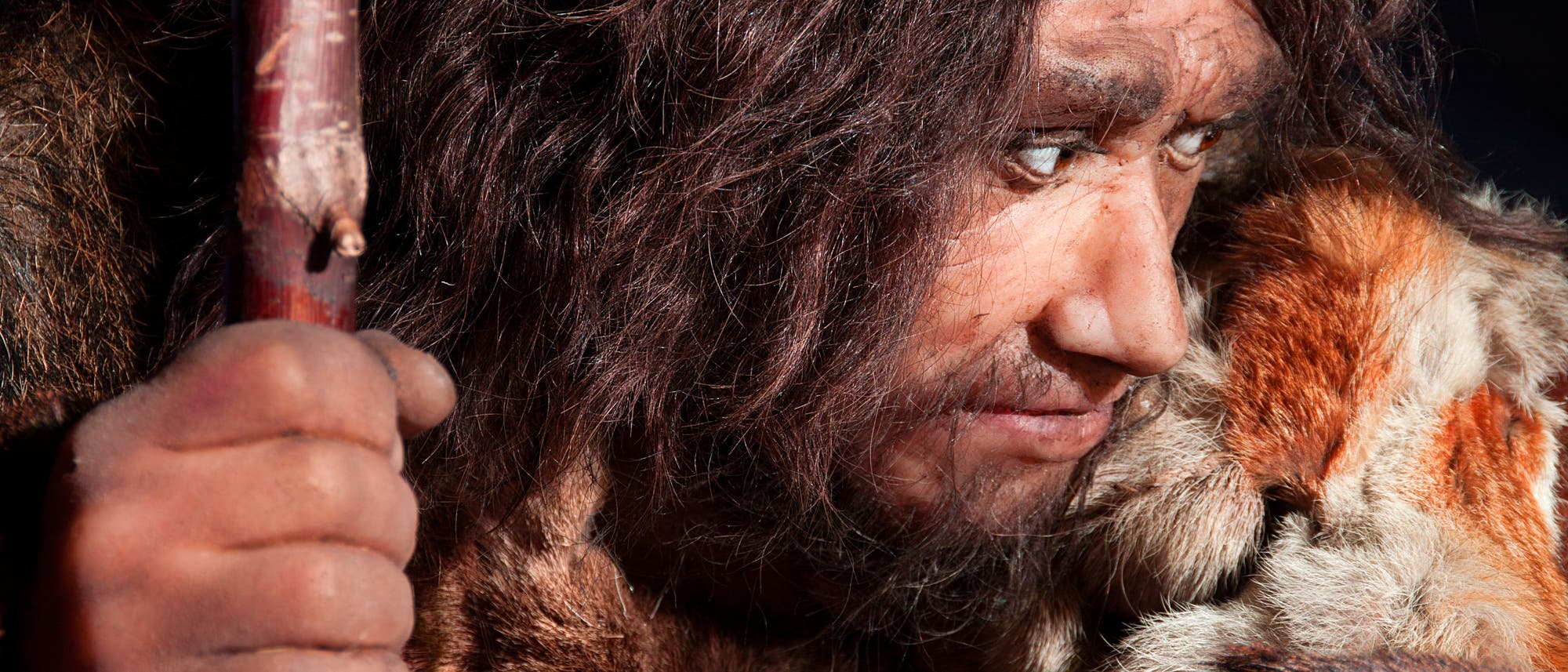 Neandertaler Neandertaler