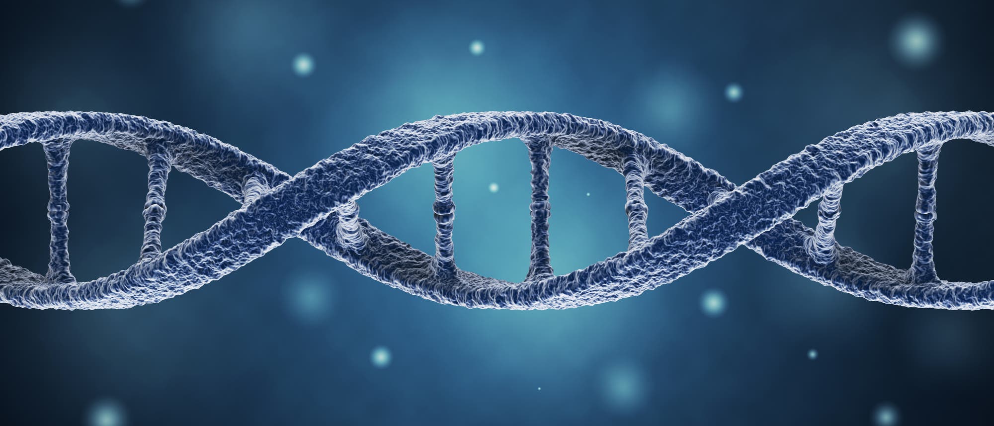 DNA DNA