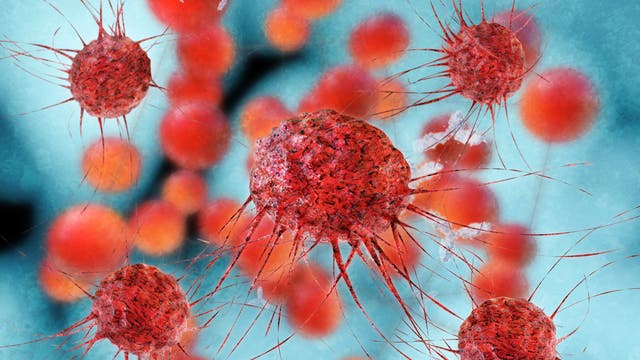 Illustration von roten Krebszellen vor blauem Hintergrund
