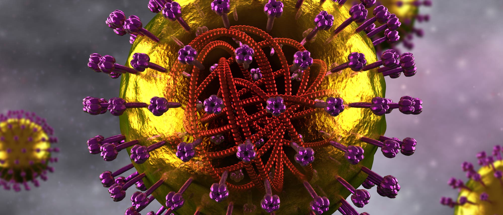 Masernvirus Masernvirus