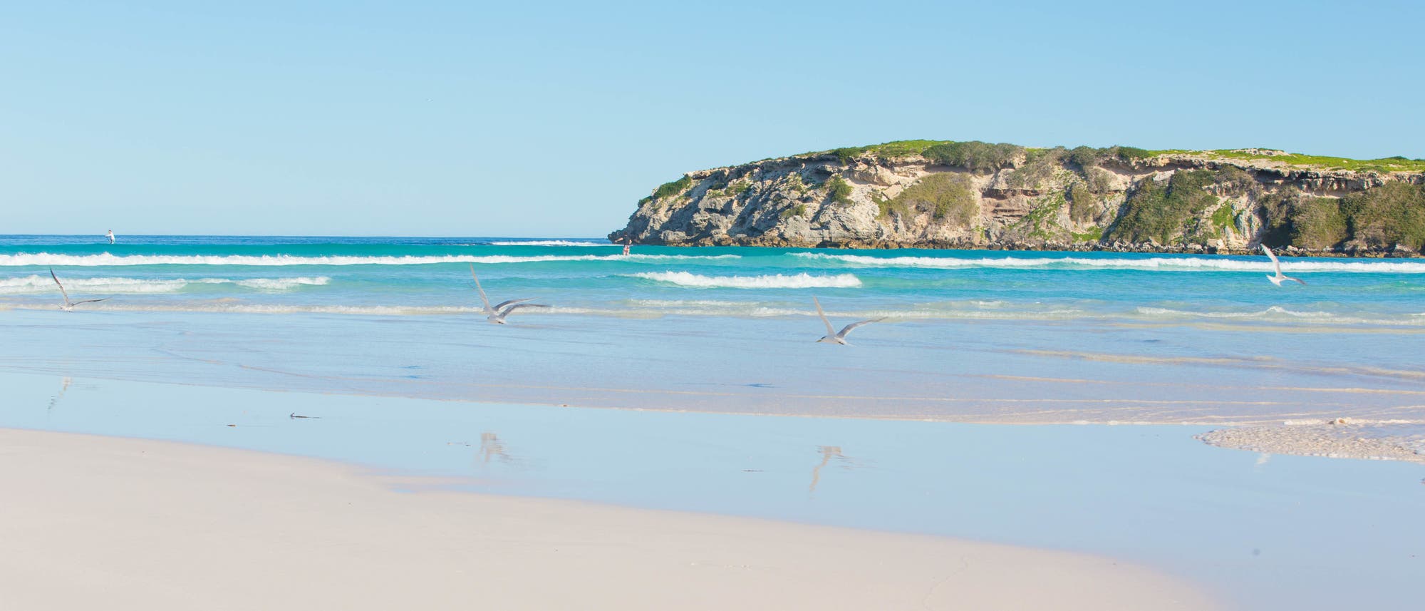 Wedge Island ist ein Naturschutzgebiet etwa hundertvierzig Kilometer nördlich der westaustralischen Hauptstadt Perth. Im Februar Bilder von Australischen Sandstränden raussuchen zu müssen ist übrigens mal so richtig gemein. Wedge Island ist ein Naturschutzgebiet etwa hundertvierzig Kilometer nördlich der westaustralischen Hauptstadt Perth. Im Februar Bilder von Australischen Sandstränden raussuchen zu müssen ist übrigens mal so richtig gemein.