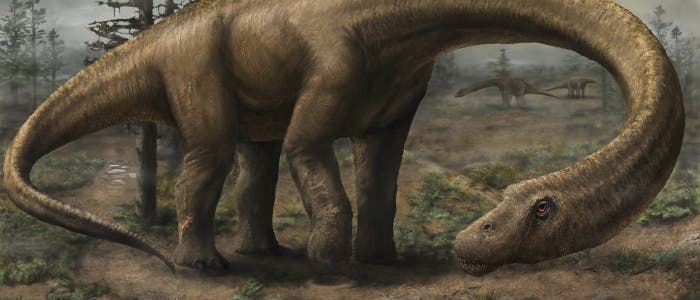 Dreadnoughtus schrani Dreadnoughtus schrani