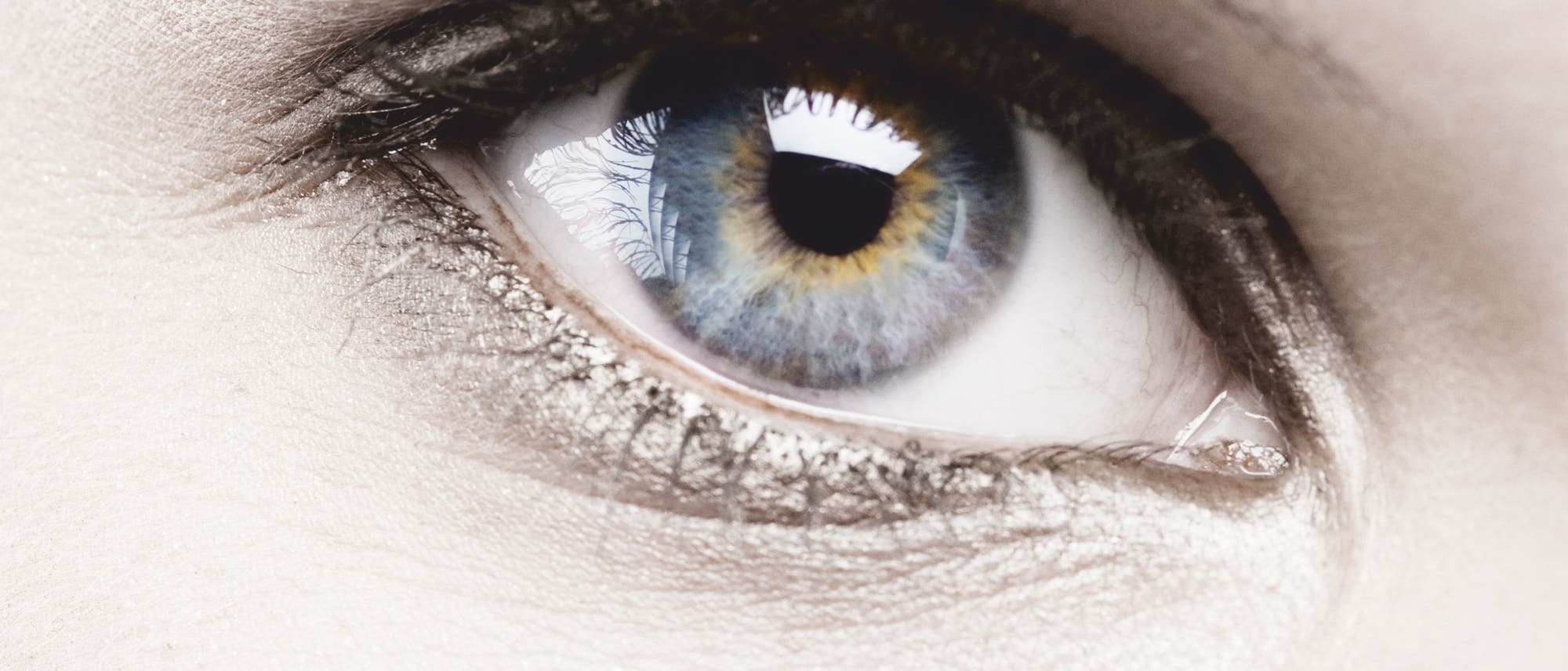 Ungetrübter Blick Ungetrübter Blick