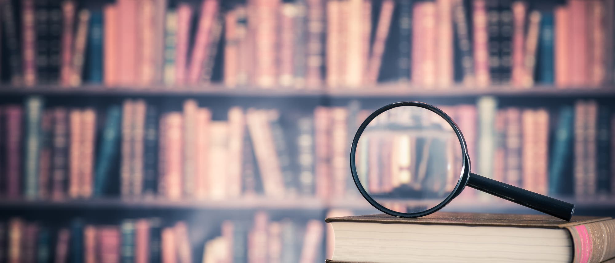 Bücher unter die Lupe genommen Bücher unter die Lupe genommen
