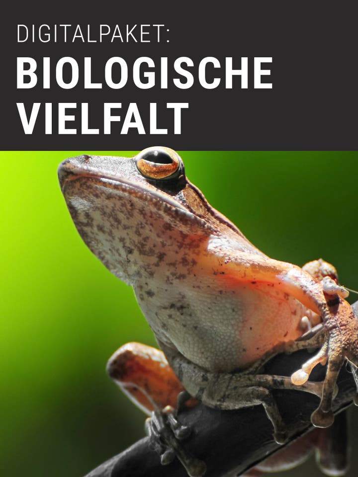 Digitalpaket: Biologische Vielfalt Teaserbild