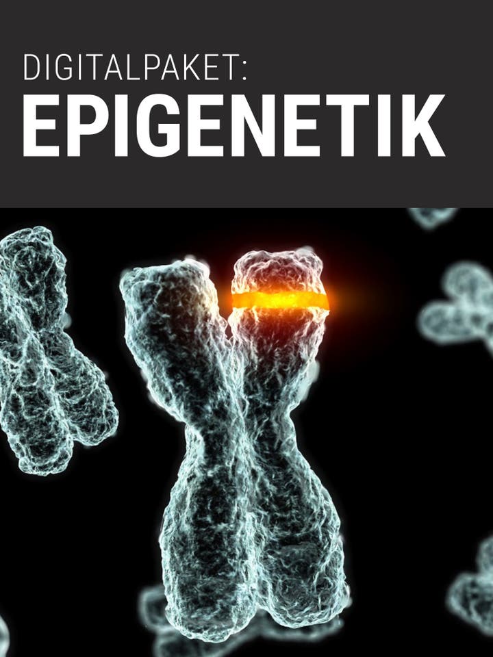 Spektrum der Wissenschaft Digitalpaket: Epigenetik
