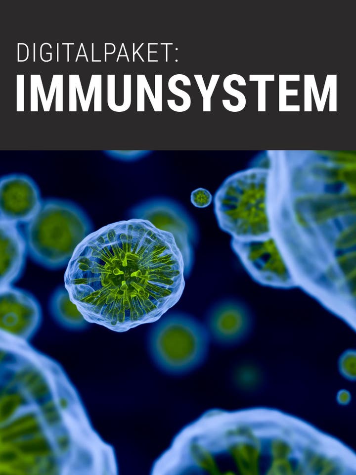 Digitalpaket: Immunsystem Teaserbild