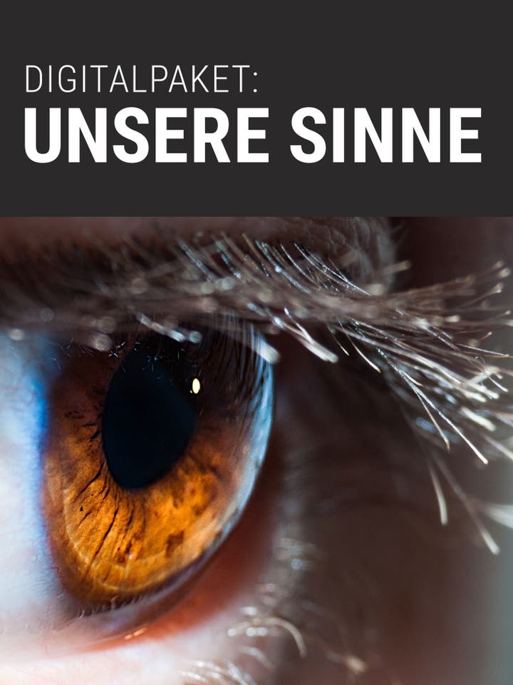 Spektrum der Wissenschaft Digitalpaket: Unsere Sinne