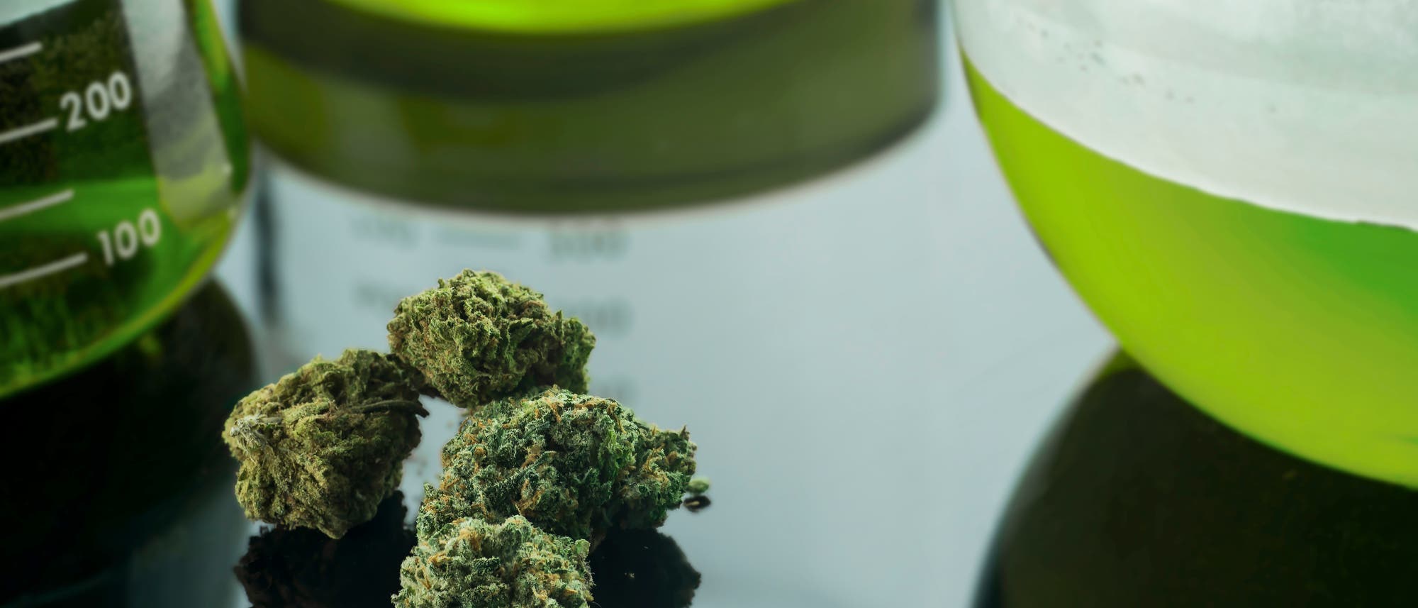 Cannabis Cannabis