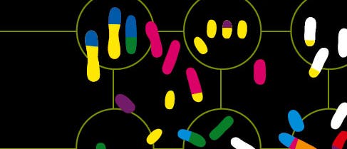 Chromosomen Chromosomen
