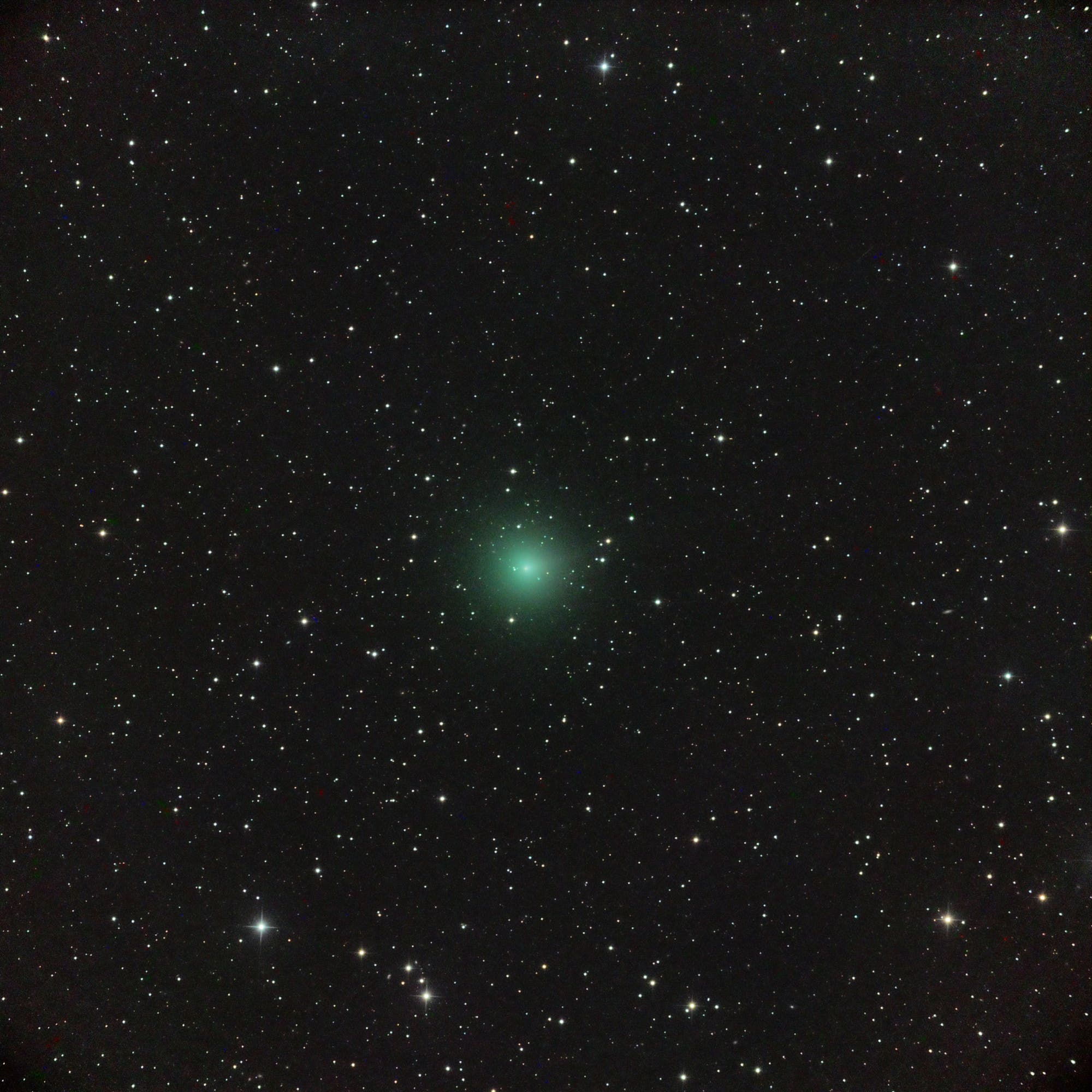 Der Komet C/2018 Y1 Iwamoto