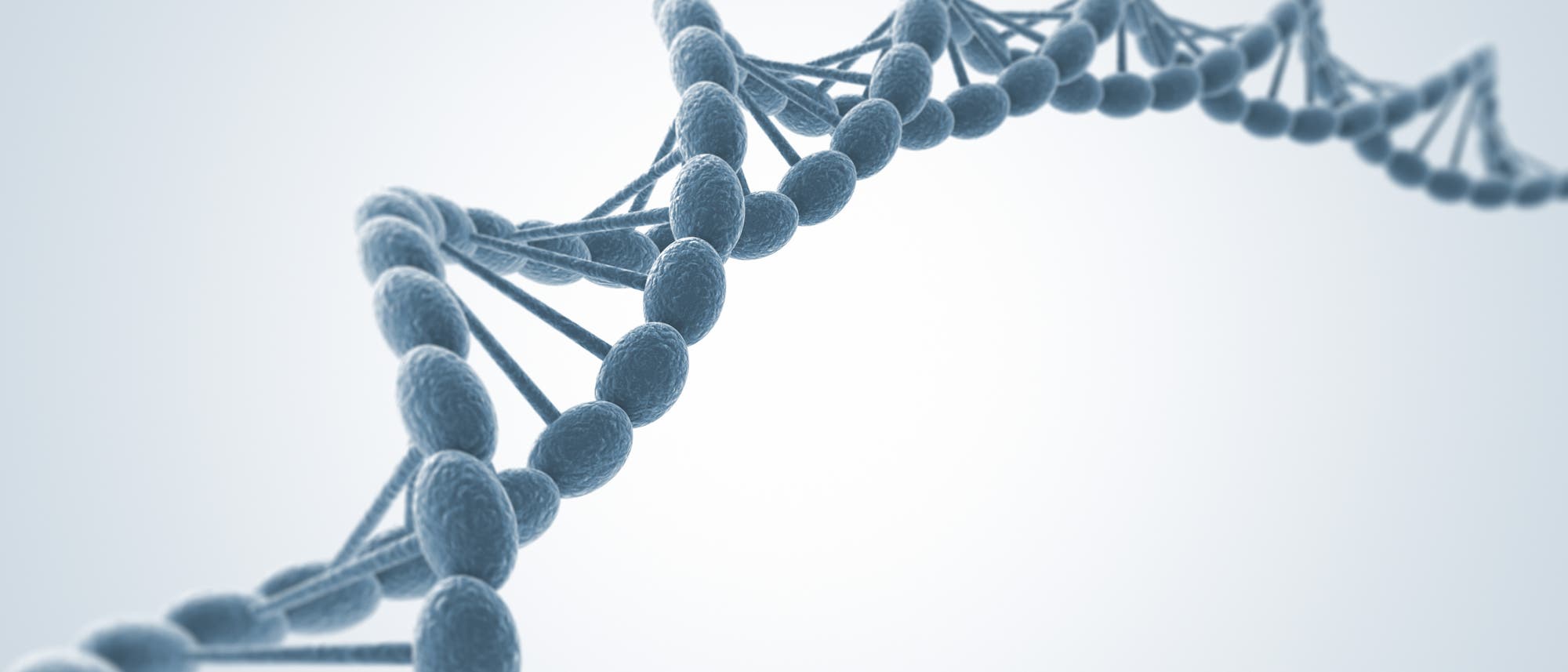 DNA-Strang DNA-Strang