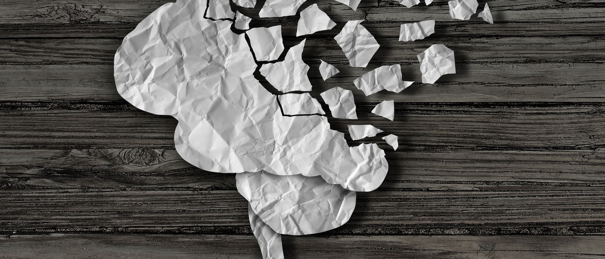 Zerschnipseltes Papierhirn Zerschnipseltes Papierhirn