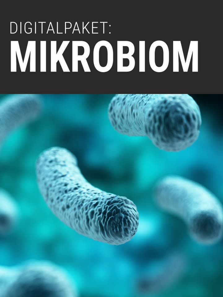 Spektrum der Wissenschaft Digitalpaket: Mikrobiom