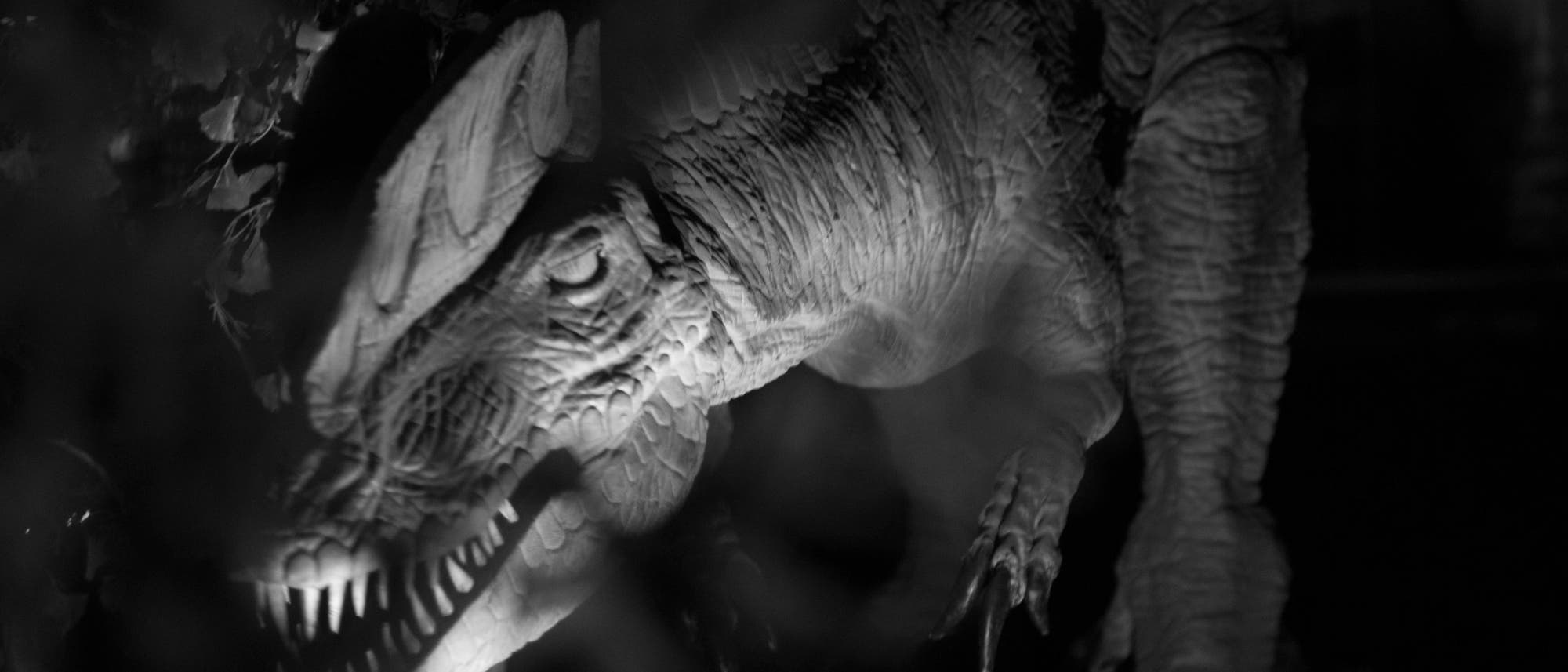 Dilophosaurus Dilophosaurus