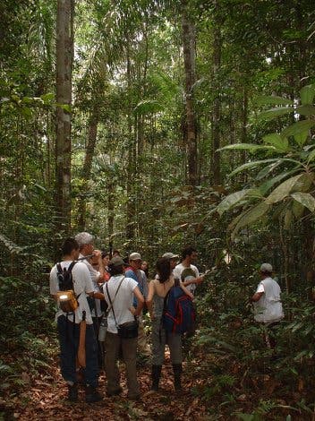 Forschergruppe im Regenwald