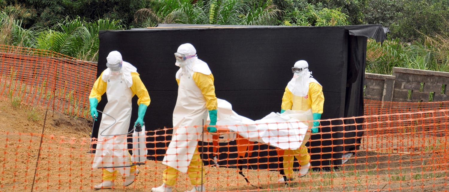 Ebola-Virus Ebola-Virus