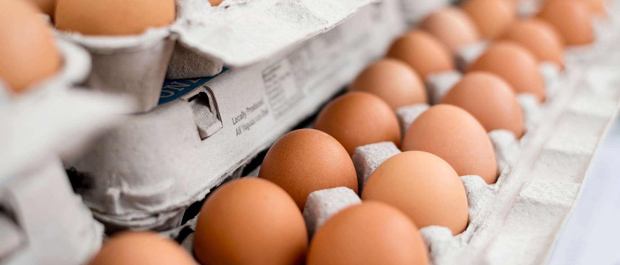 Eier Eier