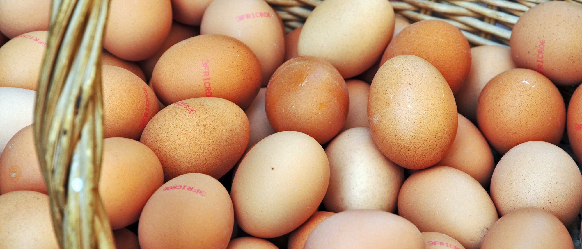 Eier Eier