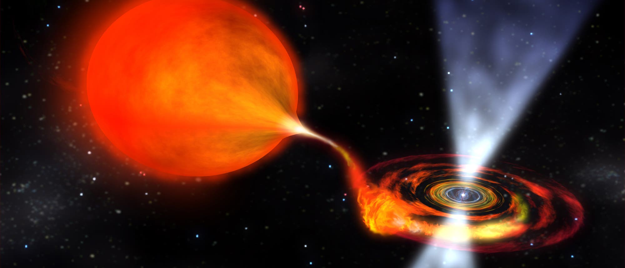 Pulsar Pulsar