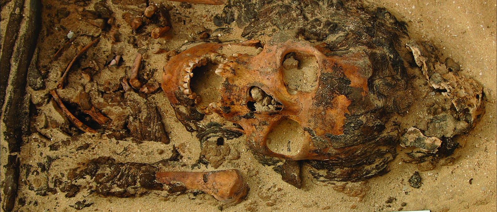 Der erste originale Salbkegel - die Reste liegen neben dem Schädel der Toten aus einem Friedhof in Amarna.