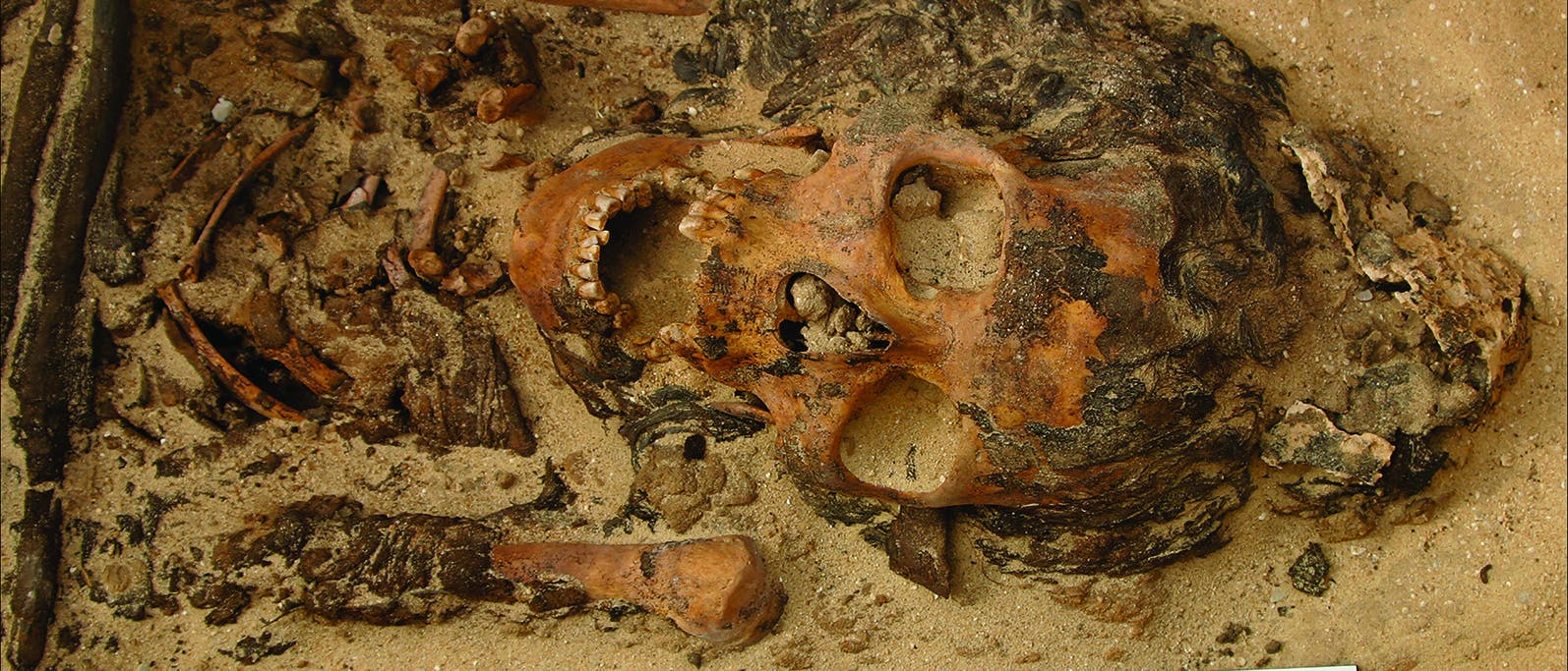 Der erste originale Salbkegel - die Reste liegen neben dem Schädel der Toten aus einem Friedhof in Amarna. Der erste originale Salbkegel - die Reste liegen neben dem Schädel der Toten aus einem Friedhof in Amarna.